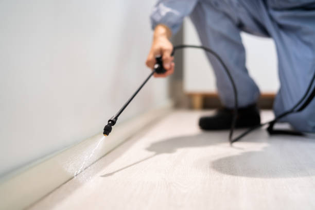 Certified termite inspector examining foundation in Litchfield Beach