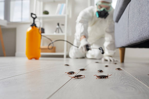 Commercial Rodent Management in Litchfield Beach